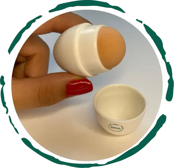 Volcanic Stone Oil-Absorbing Face Roller Hind boutique